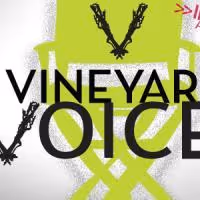 Jeremy McCarter Set To Moderate Next Vineyard Voices "The Art Of Casting" 11/2